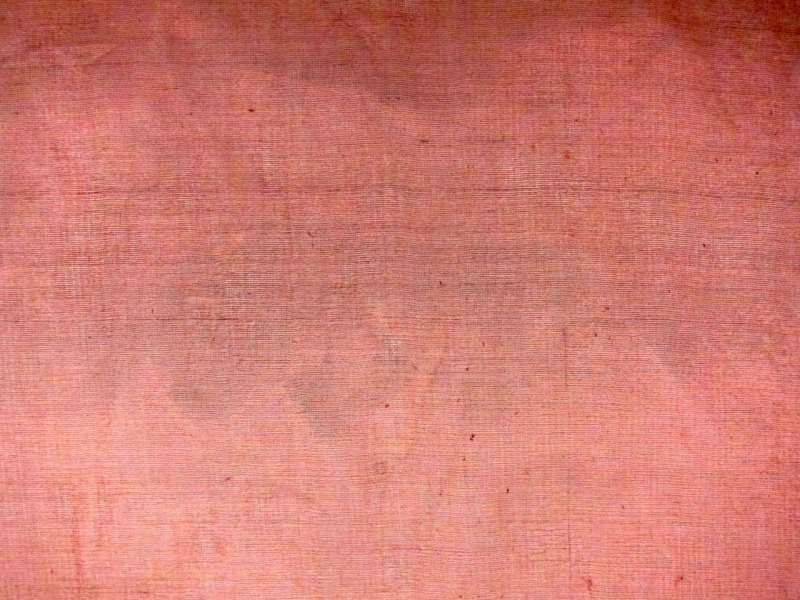 Metallic Silk Organza1