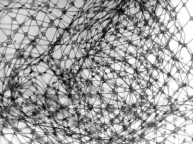 Birdcage Net in Black0