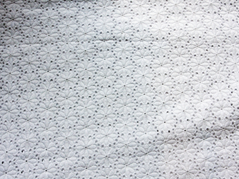 Cotton Eyelet2