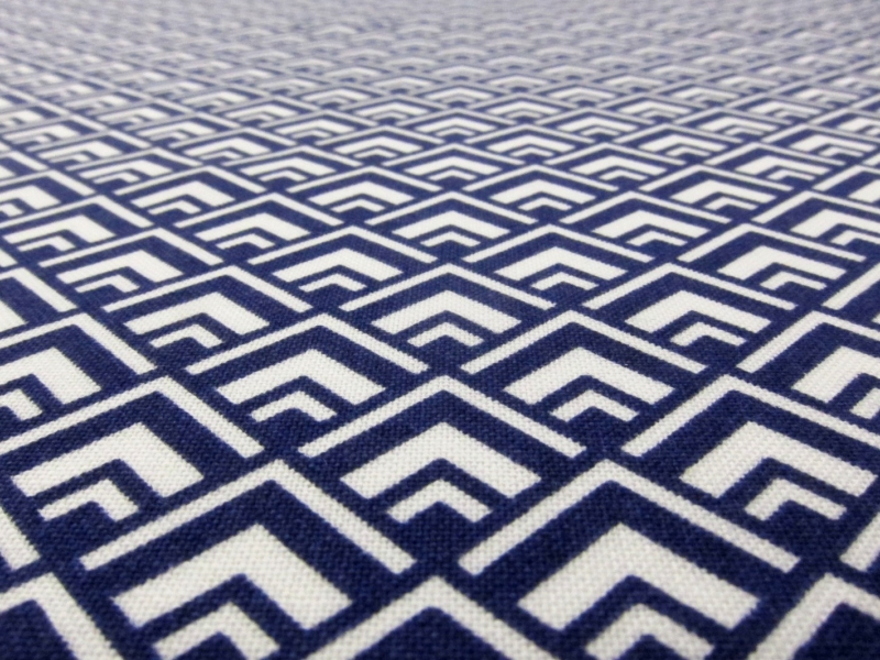 Cotton Broadcloth Print2