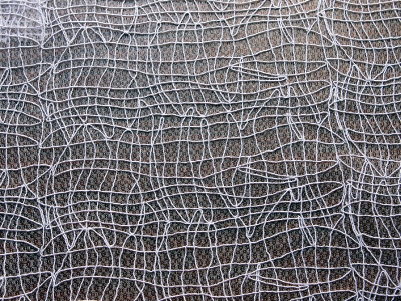 Embroidered Souffle0