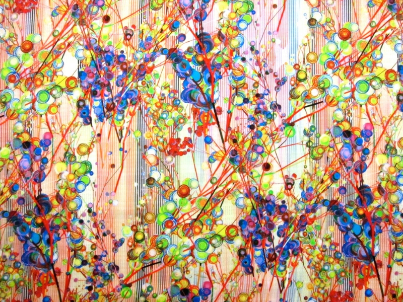 Printed Silk Charmeuse0