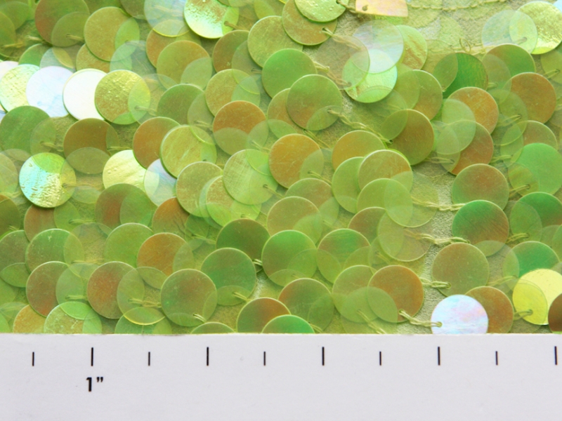 Paillettes on Silk Chiffon2