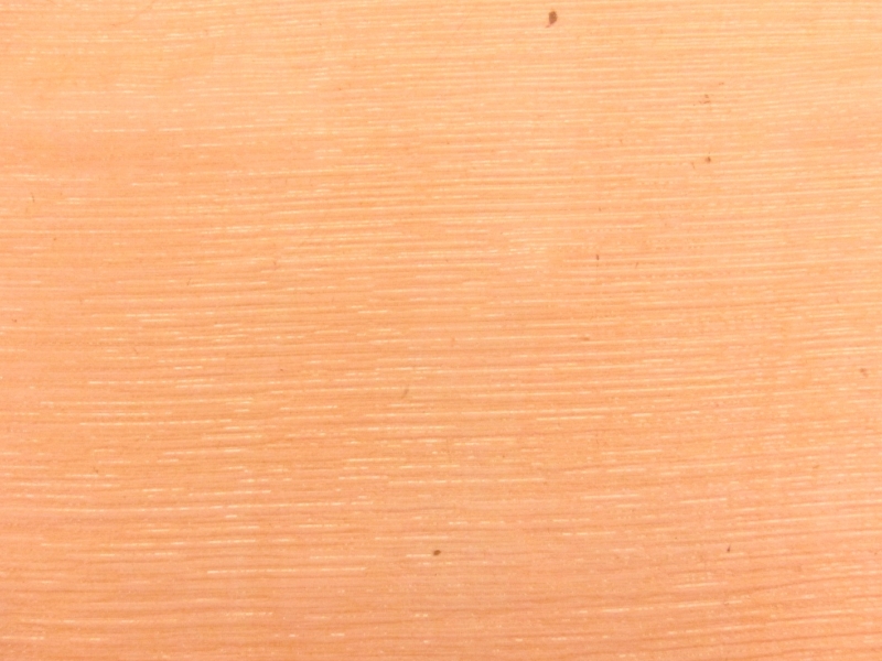 Silk and Lurex Chiffon1