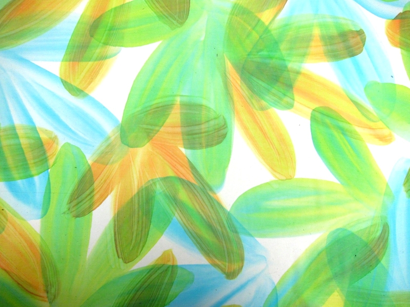 Hand Painted Silk Chiffon0