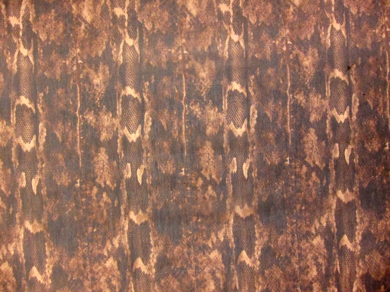 Metallic Printed Silk Chiffon1