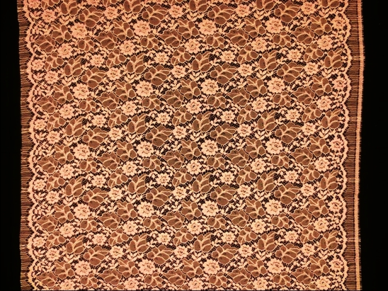 Corded Chantilly Lace3