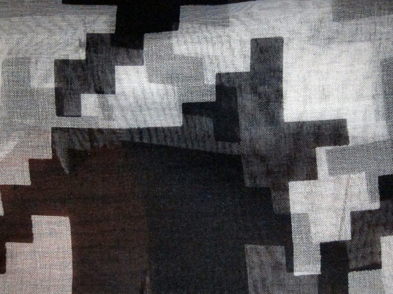 Printed Silk Organza2