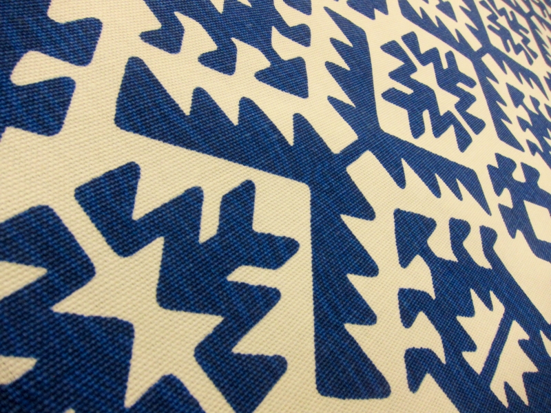 Cotton Canvas Pawnee Print2