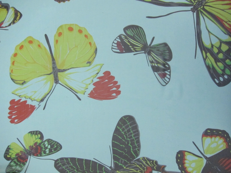 Printed Silk Chiffon1