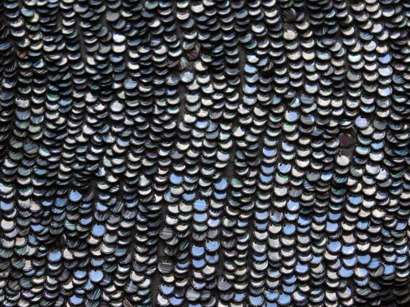 Paillettes on Silk Chiffon1