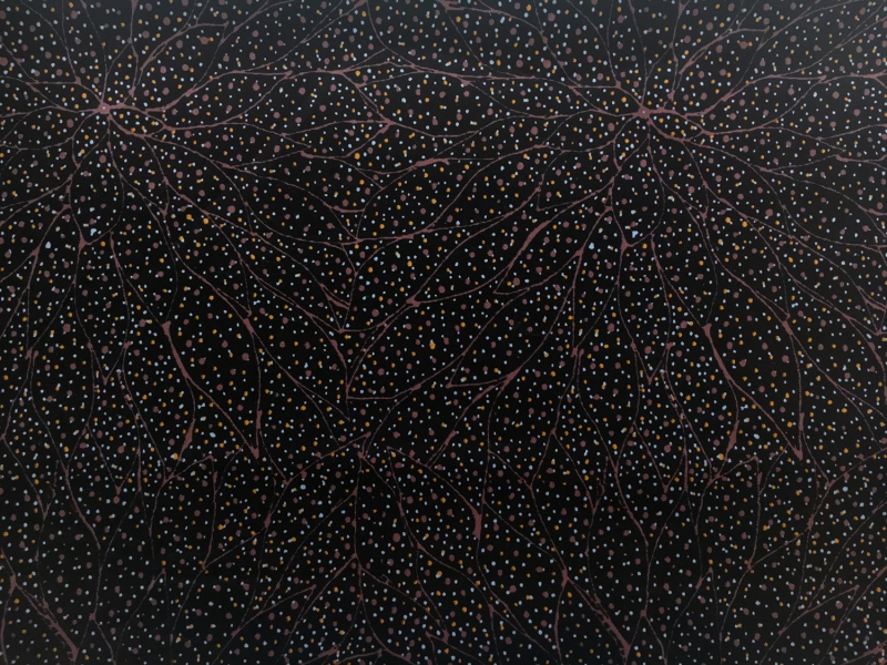 Australian Cotton Print With Aboriginal Motif0