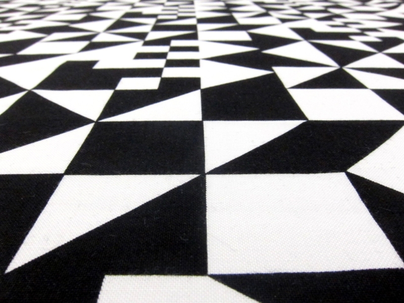 Cotton Broadcloth Print2