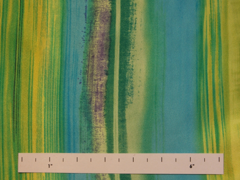 Printed Silk Charmeuse0