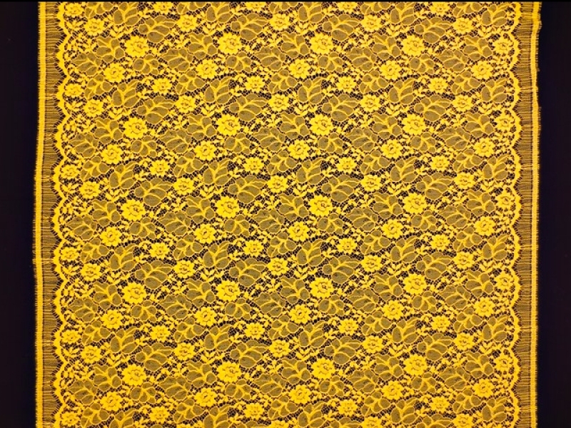 Corded Chantilly Lace3