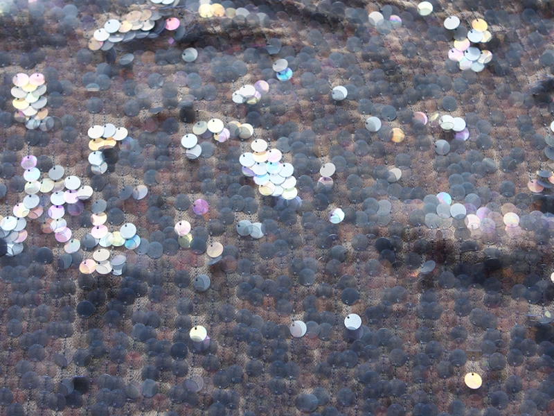 Novelty Paillettes on Silk Chiffon0