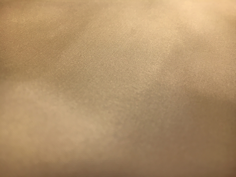 Tahari Stretch Polyester Charmeuse in Nude1