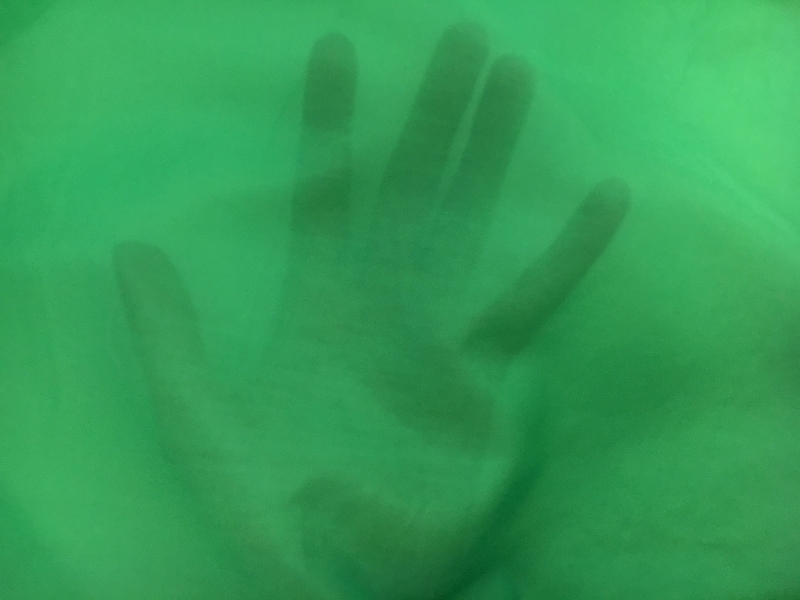 Silk Cotton Voile in Kelly Green2