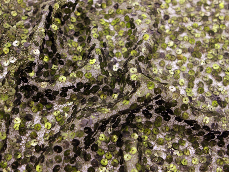 Sequins on Metallic Tulle3