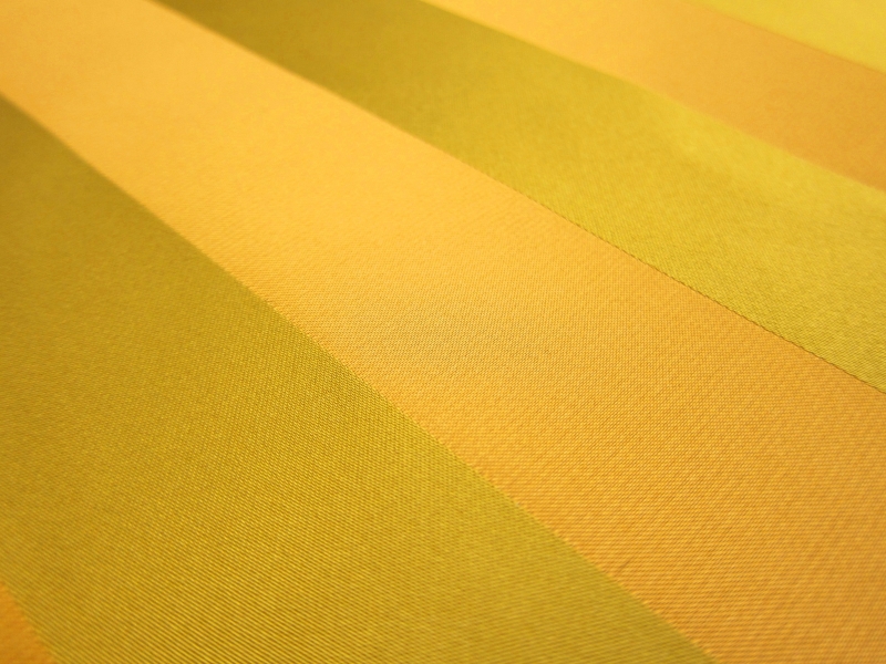 Silk Stripe Brocade2