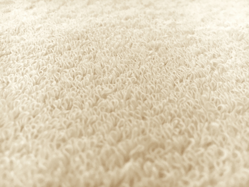 Cotton Terry Velour in Natural3