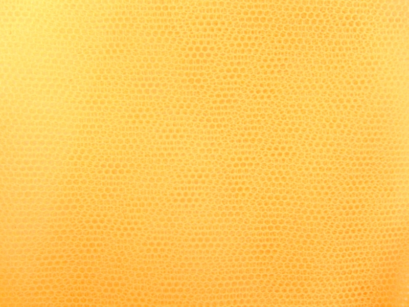 Italian Nylon Tulle in Girasole0