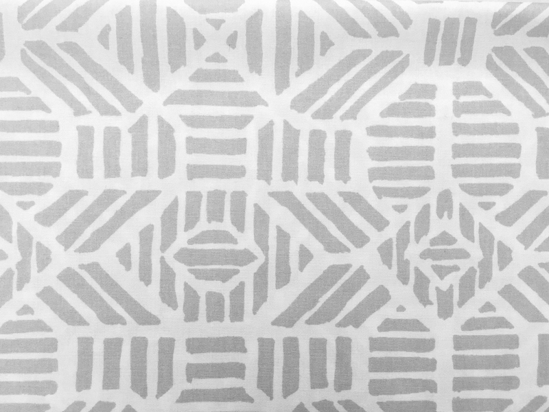 Cotton Canvas With Metallic Print0