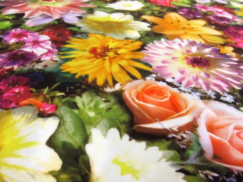 Printed Silk Charmeuse2