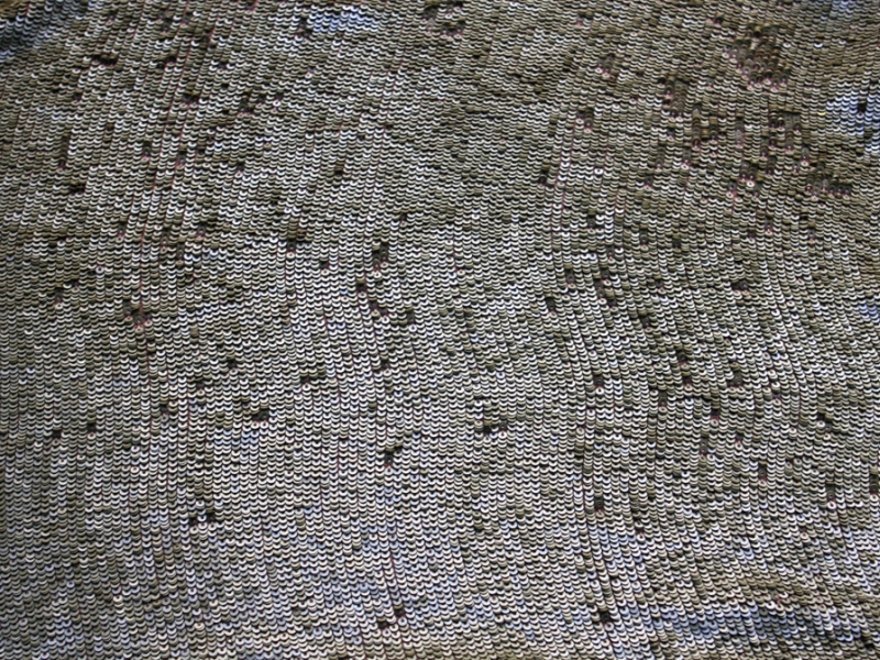 Sequins on Silk Chiffon1