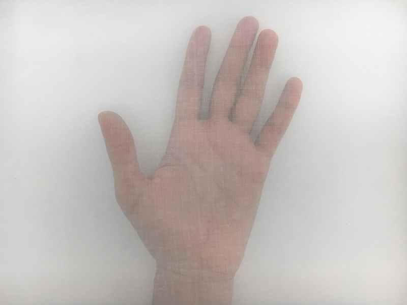 Swiss Cotton Organdy in Powder Blue1