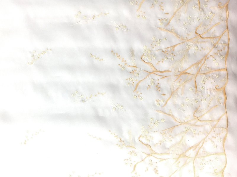 Silk Satin Organza with Degradé Embroidery3