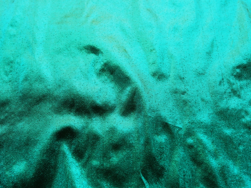 Tissue Lamé in Pine0