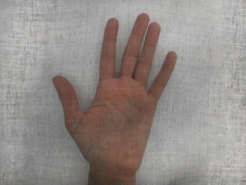 Swiss Cotton Organdy in Black1