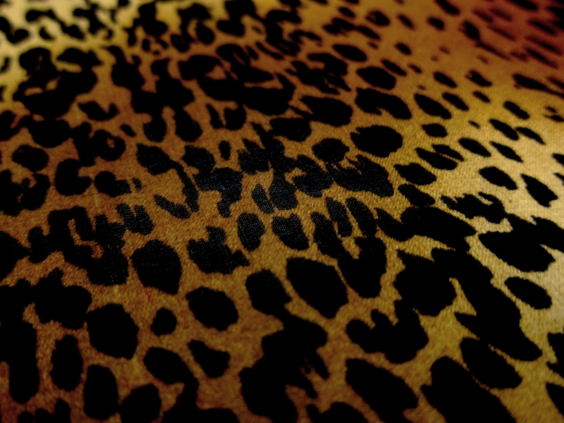 Printed Silk Chiffon 2