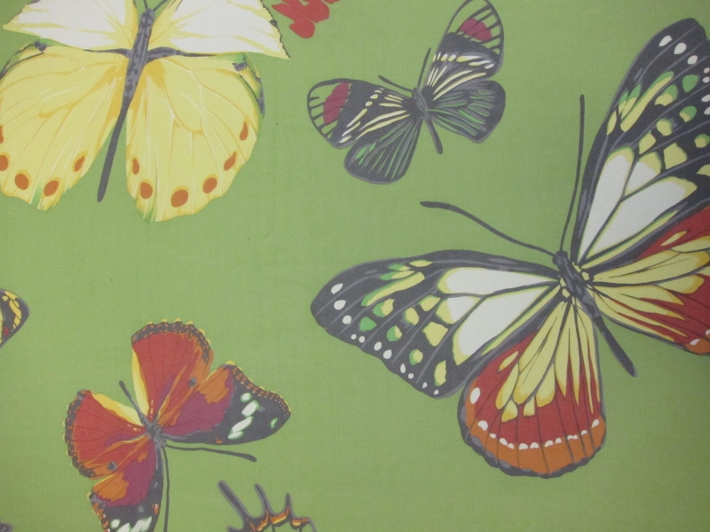 Printed Silk Chiffon0