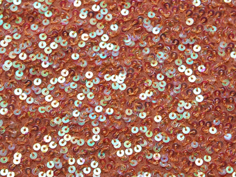 Sequins on Silk Chiffon2