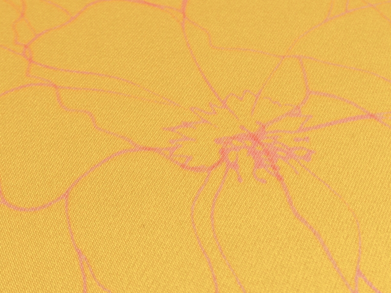 Printed Silk Charmeuse2