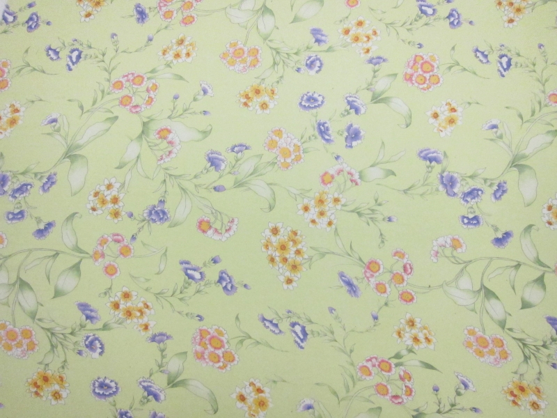 Printed Silk Chiffon1