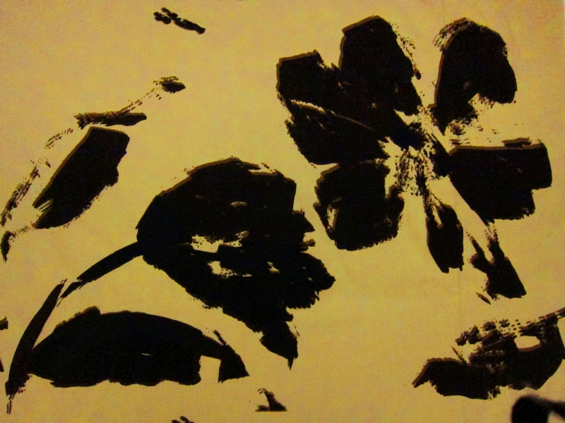 Printed Silk Taffeta0