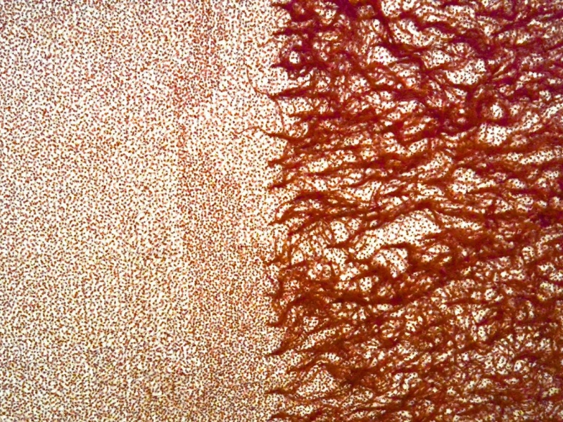 Hand Beaded Illusion With Ostrich Feather Border0