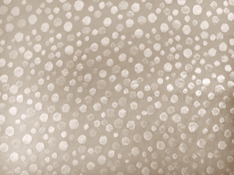 Silk Lurex Burn-Out Velvet Dots in Ivory 0