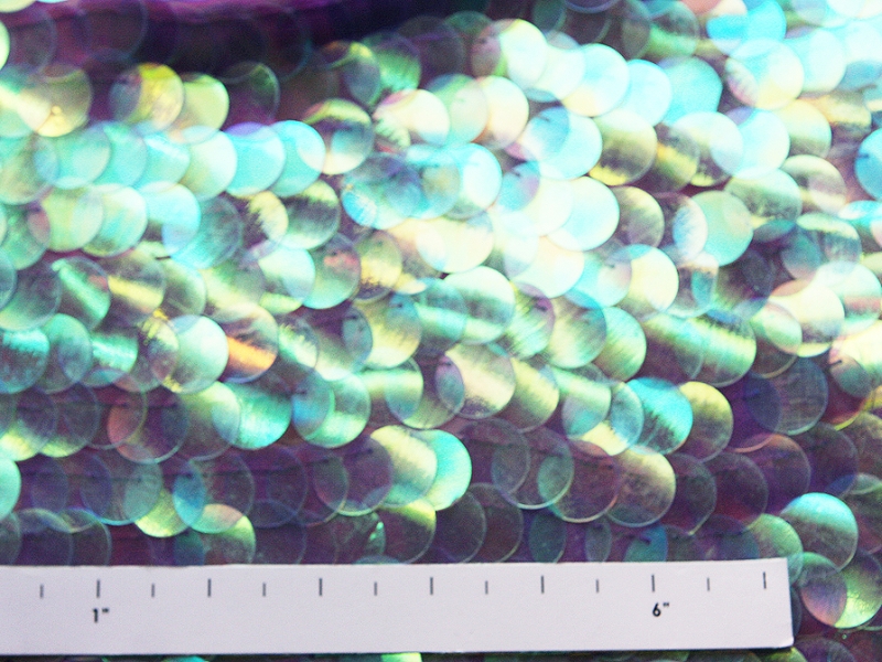 Paillettes on Silk Chiffon2