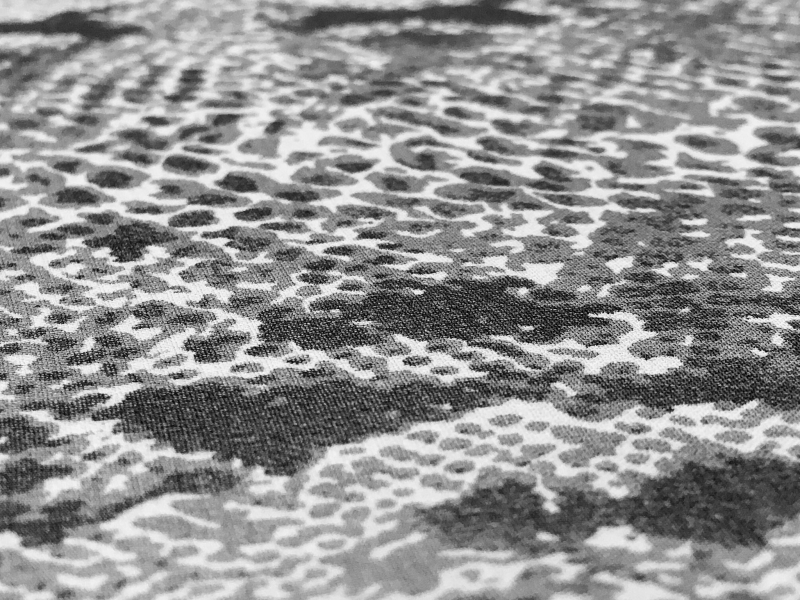 Printed Silk Chiffon2