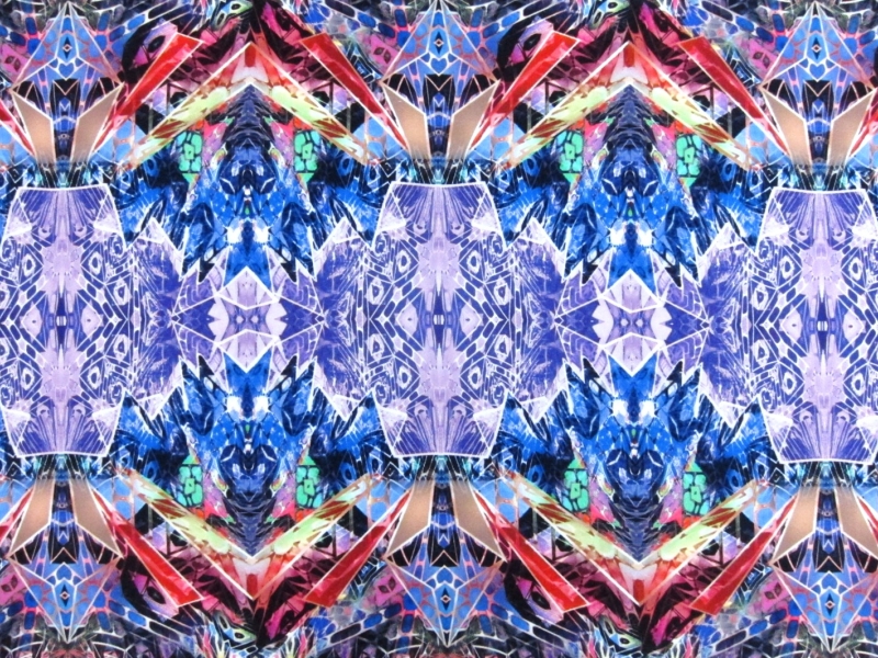 Printed Silk Charmeuse0