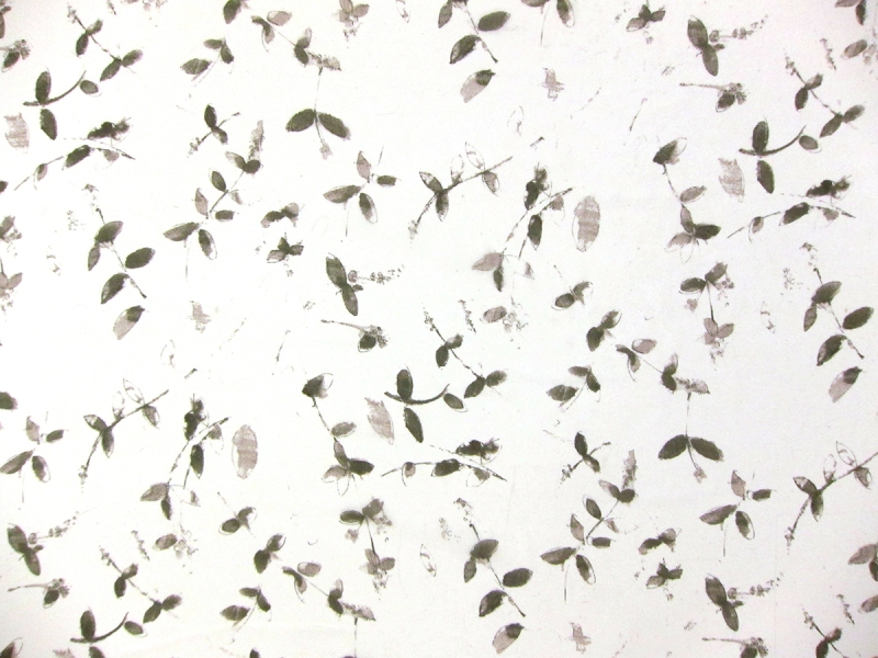 Printed Silk Chiffon0