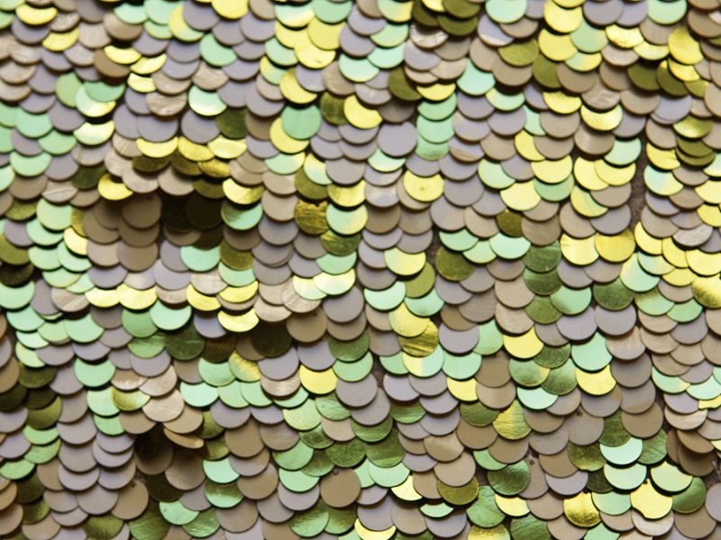 Paillettes on Silk Chiffon1