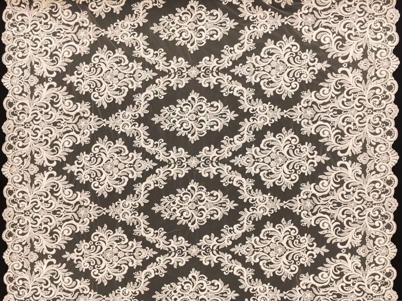 Ornate Embroidered Tulle in Nude0