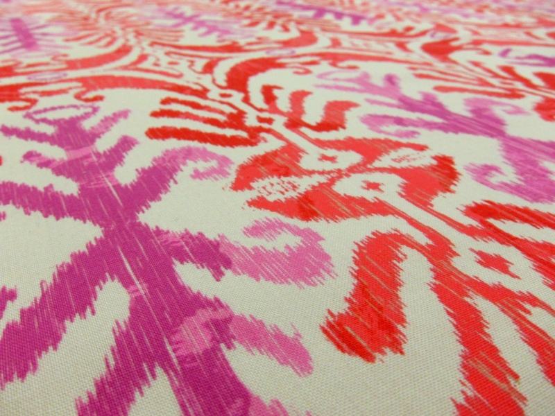 Cotton Broadcloth Print2