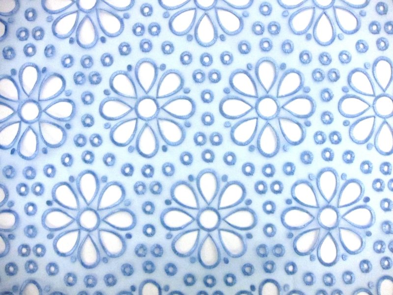 Embroidered Polyester Organza0