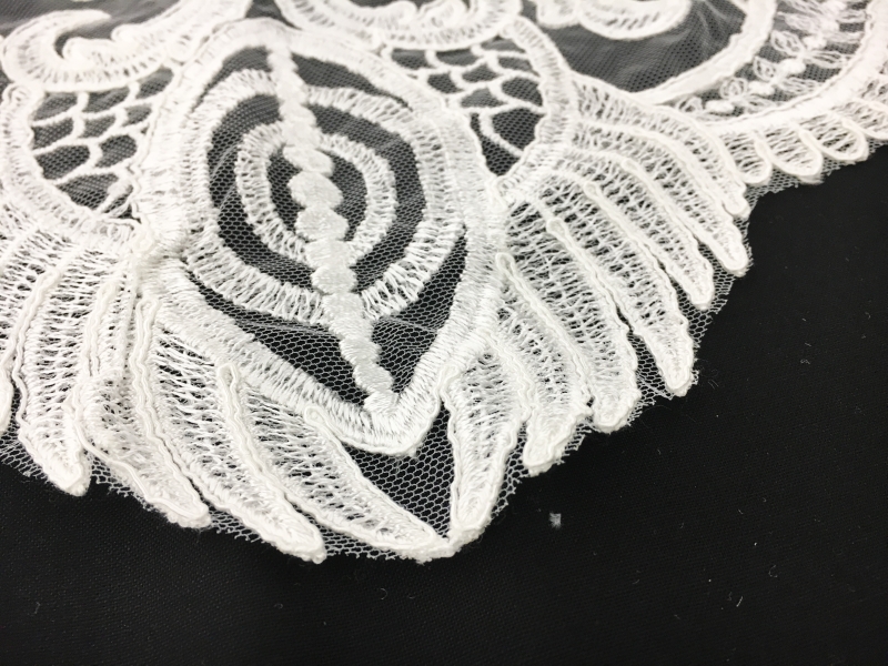 Embroidered Tulle with Heavy Regal Patterns in Ivory2